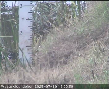 1200Hrs Shot