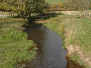 The same stretch after the Foundation had fenced out the livestock - the banks are stabilising and the natural depth of the stream beginning to be re-establised
