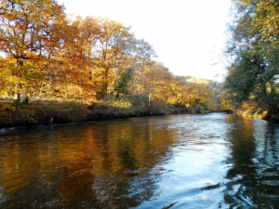 The Wye and Usk Foundation