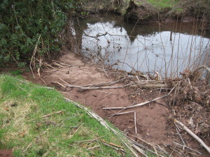 River restoration works helping to trap silt in the bank rather than it damaging gravels