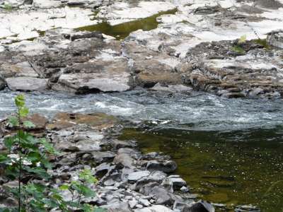July 2014 has seen some of the lowest water conditions ever experienced in the rivers