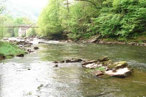 The Buckland South beat on the Usk, which joined the Passport scheme in 2009.