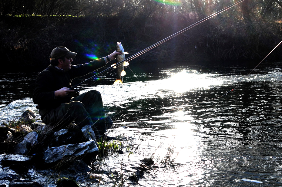 A fine winter chub from the Wye