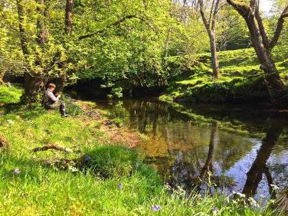 Wild brown trout fishing