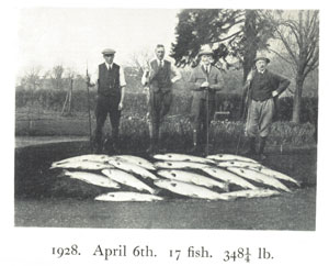 A good day's haul on rod and line from the Wye in 1923