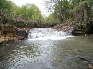 May 2010 - migratory fish will now be able to reach spawning grounds further upstream