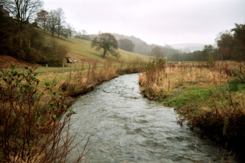 the Clywedog seven years after restoration