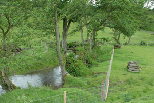 Demonstration site on the Gladestry brook