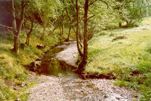 Low Flows on the Duhonw, a Wye tributary.