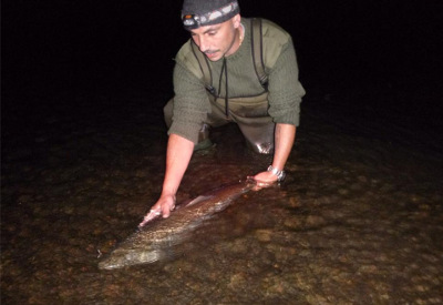 Nathan Probert returning a magnificent 14lb+ sewin on Golden Grove (Towy) last weekend. Photo: Jamie Harries