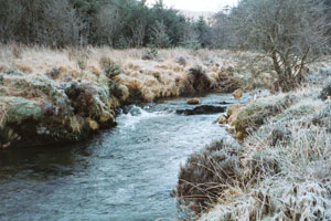 A seemingly pristine upper Wye stream, affected by acidity