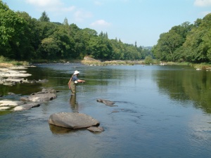 Fishing a Passport beat on the main stem of the upper Wye.