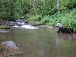 Miles of small stream wild brown trout fishing has been opened up to visiting anglers via the Passport scheme.
