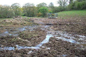 Diffuse agricultural pollution, which causes sediment to wash into rivers and choke spawning gravels.