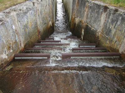 One of the 3 fish passes at the very top end of the Wye completed in August. These will allow salmon and trout access to the spawning grounds beneath Plumlumon itself.