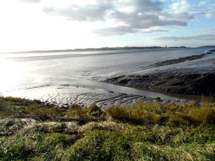 The tiny Bideford Brook where it enters the Severn and (below) a nearby disused putcher rank.