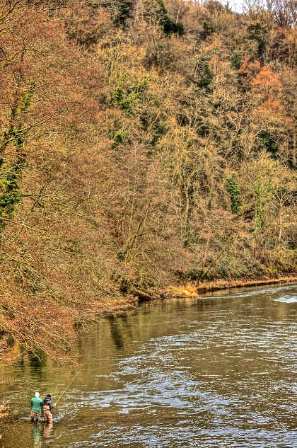 Trotting for chub on the Wye below Ross in December. Grayling can often appear in catches this far down the Wye when fishing this method.