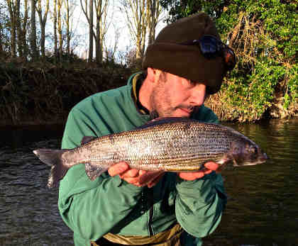 The specimen grayling from the Arrow, weighing in at just 1oz under the magical 3lb mark!