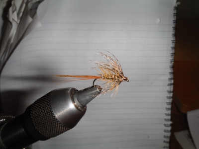 SILVERWATER FLY FISHING & DESIGN : JELLY BLOODWORM & JELLY GRUB FLY PATTERN  & TYING STEPS