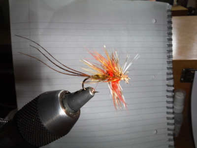 Hackle Mayfly