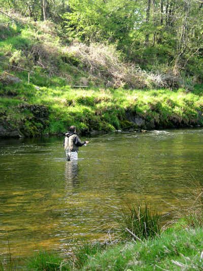 The Craig Llyn beat on the upper Wye. Photo: P Gane