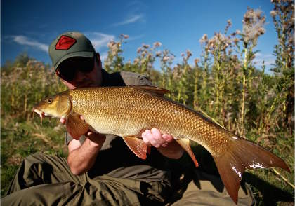 Rig shark tip lights.  Barbel Fishing World Forums