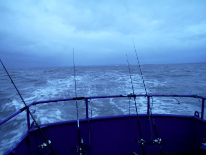 Motoring out into the Bristol Channel after winter cod (below).