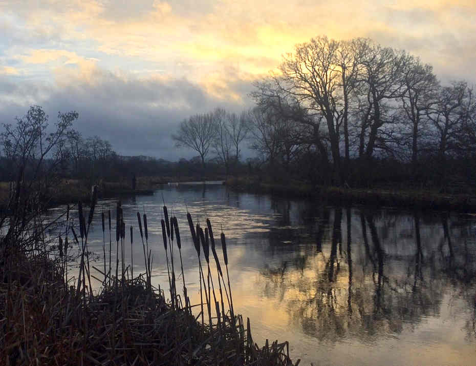 Dawn on the River Test