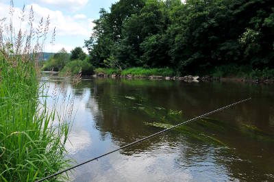 Summer barbel fishing from the unspoilt banks of the river Wye