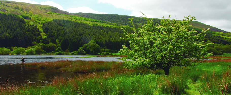 Talybont Photo: Rob Olsen