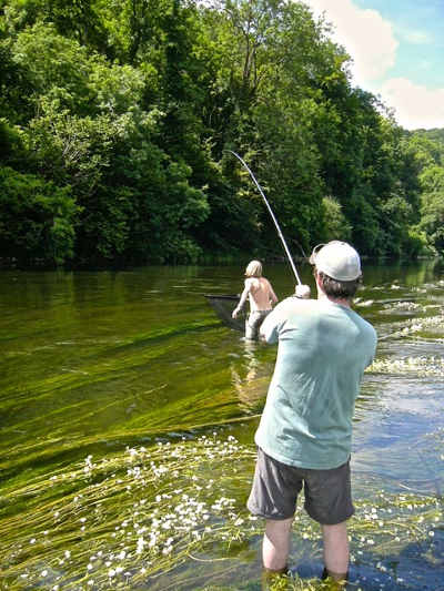 Playing barbel amongst the weed may need two hands and wet feet!