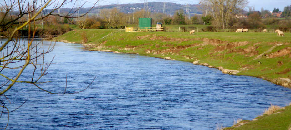 The Oxford Run on the Lower Carrots and Luggsmouth beat of the middle Wye in early spring, one of the beats that got off the mark in March.