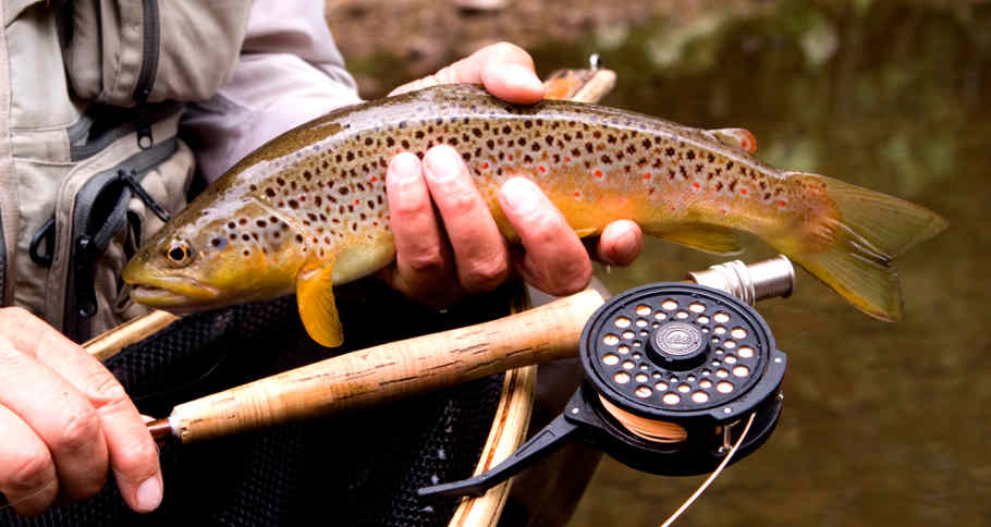 A Franco Zeferelli of Bologna automatic reel, ideal for small stream fishing