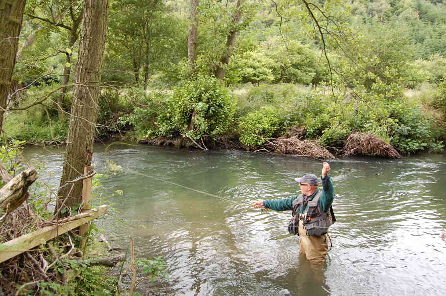 Tenkara: Traditional Japanese Fly Fishing on the Little Red, Primrose  Creek