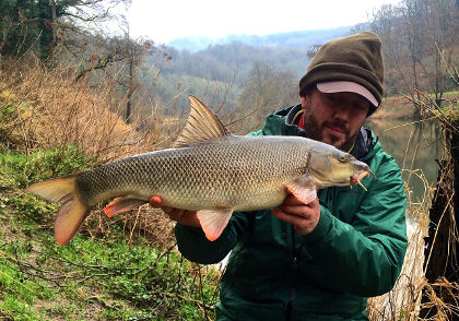 Wye barbel in great condition