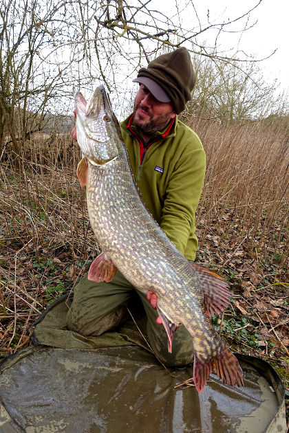 Two large peas in a pod! Two of the 20lb+ pike caught before the close of the season