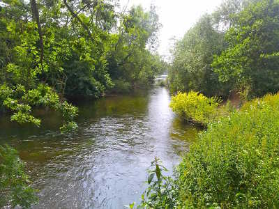 Early season on the middle Wye at Carey Islands and below, at Middle Hill Court.