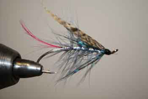 The Haslam, a popular sewin fly in North and West Wales.