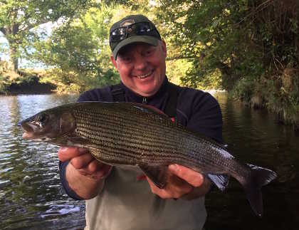A good grayling from the Irfon, an upper Wye tributary