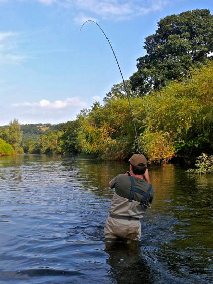 Putting on the waders and getting out beyond the willows is a great tactic when fishing beats like Sugwas Court