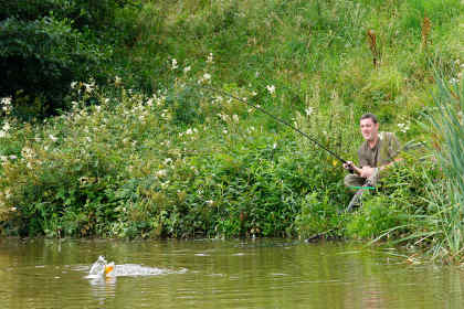 Adam playing a good carp from Trelough Pool
