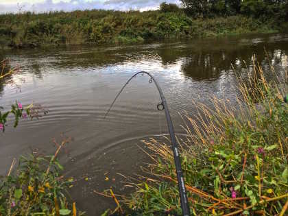 Applying the necessary pressure to keep a barbel (and the feeder/weight) off the bottom.