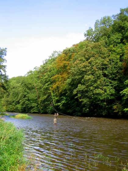 Late September salmon fishing on the lower Usk at Monkswood.