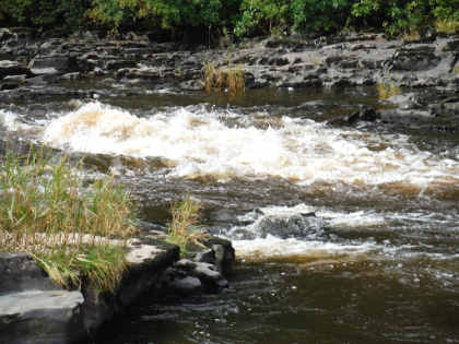 Higher water on the upper Wye in September carried a darker stain