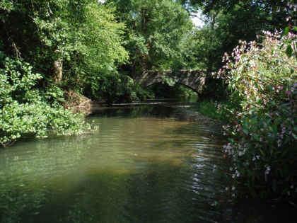 The Lyepole beat of the Lugg produced some good catches of grayling and trout in September.