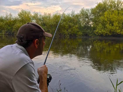 Early morning August barbel fishing