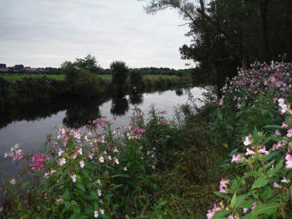 Evening on the Towy - waiting to start