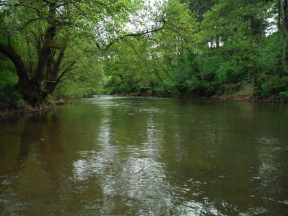 The Monnow Valley fishery