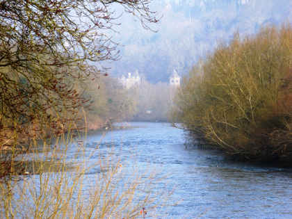 Early spring at Wyebank below Lydbrook