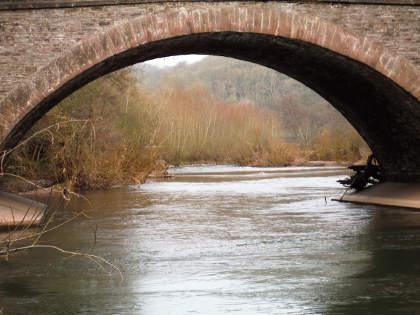 Monnow at Skenfrith